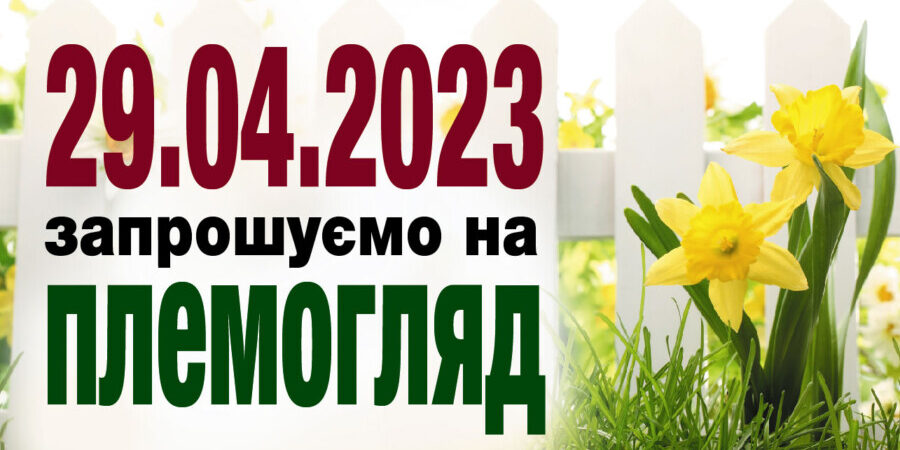 Приглашение_2023-02