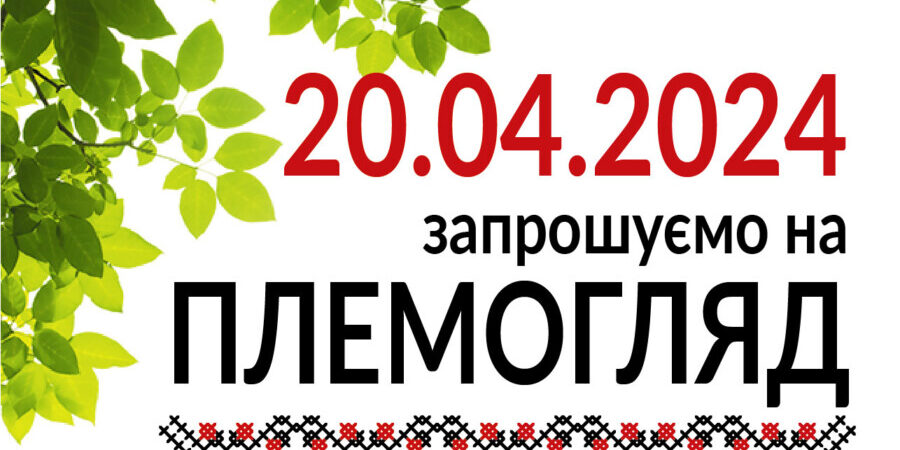 Приглашение_2024-02